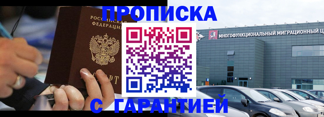 прописка для школы в Тосно